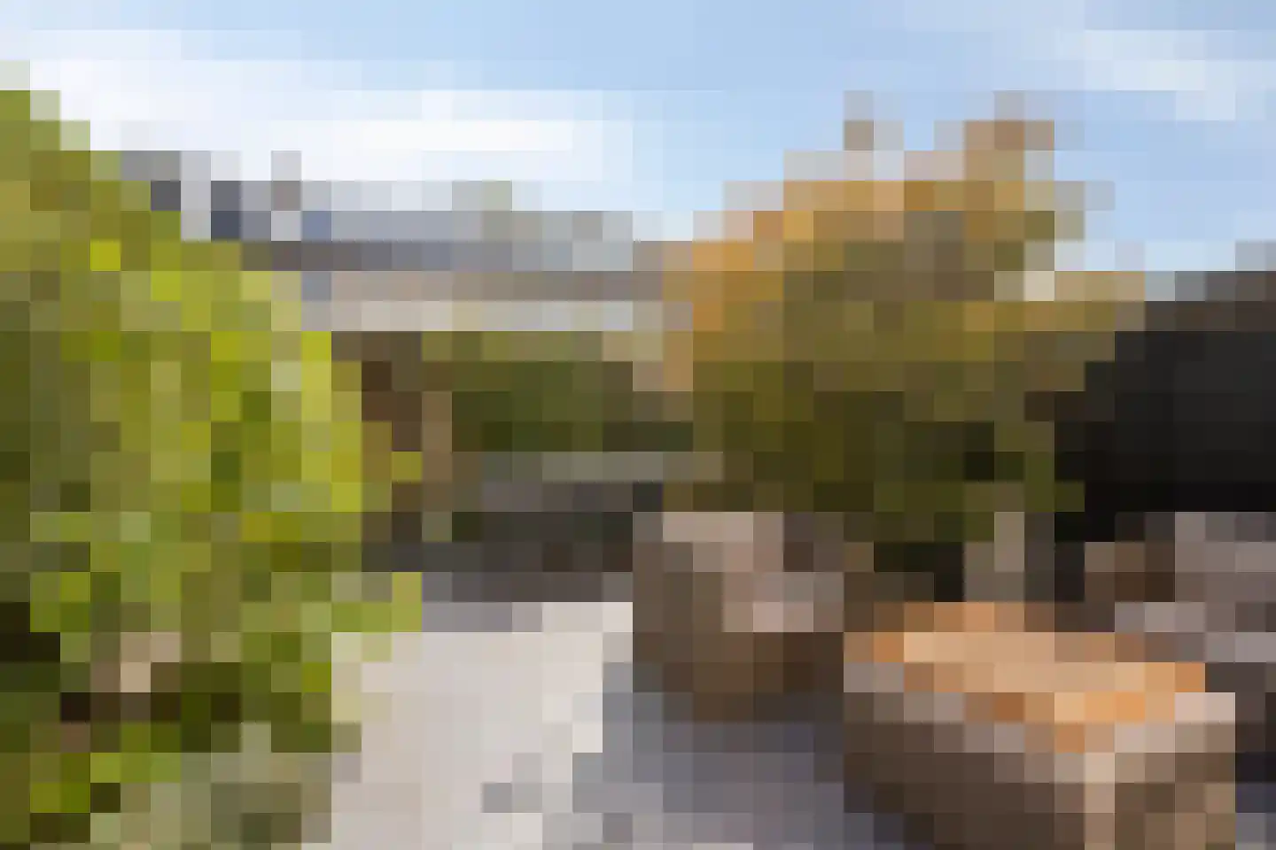 Schippersdreef 43 Driebergen-Rijsenburg thumbnail 16
