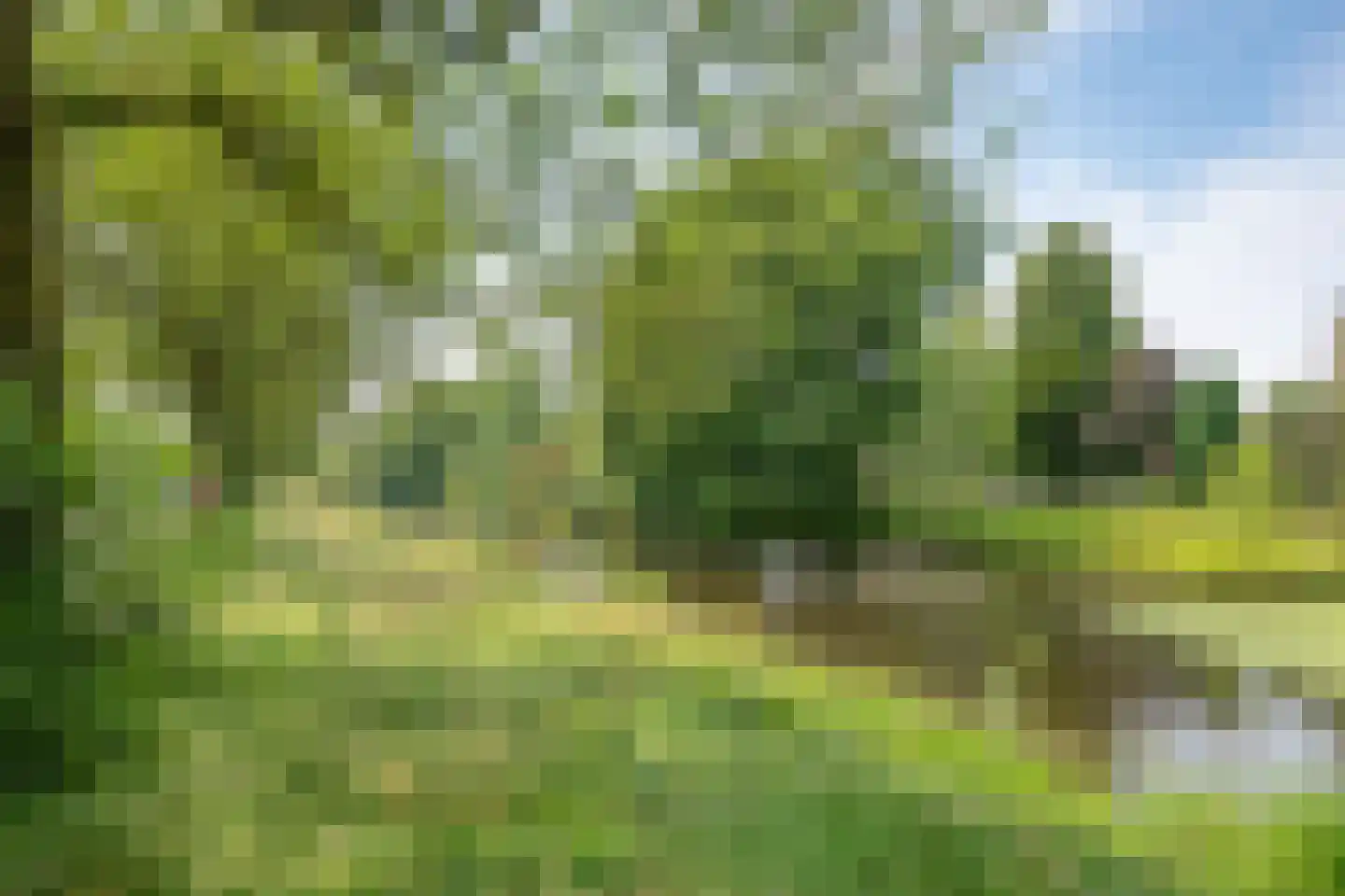 Schippersdreef 43 Driebergen-Rijsenburg thumbnail 34
