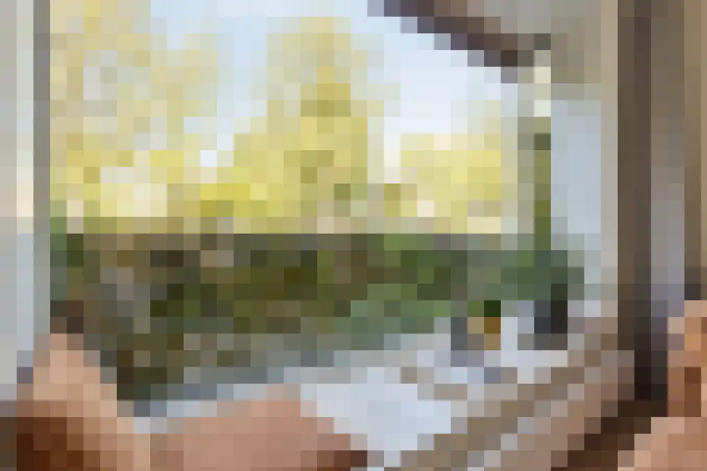 Schippersdreef 43 Driebergen-Rijsenburg thumbnail 8