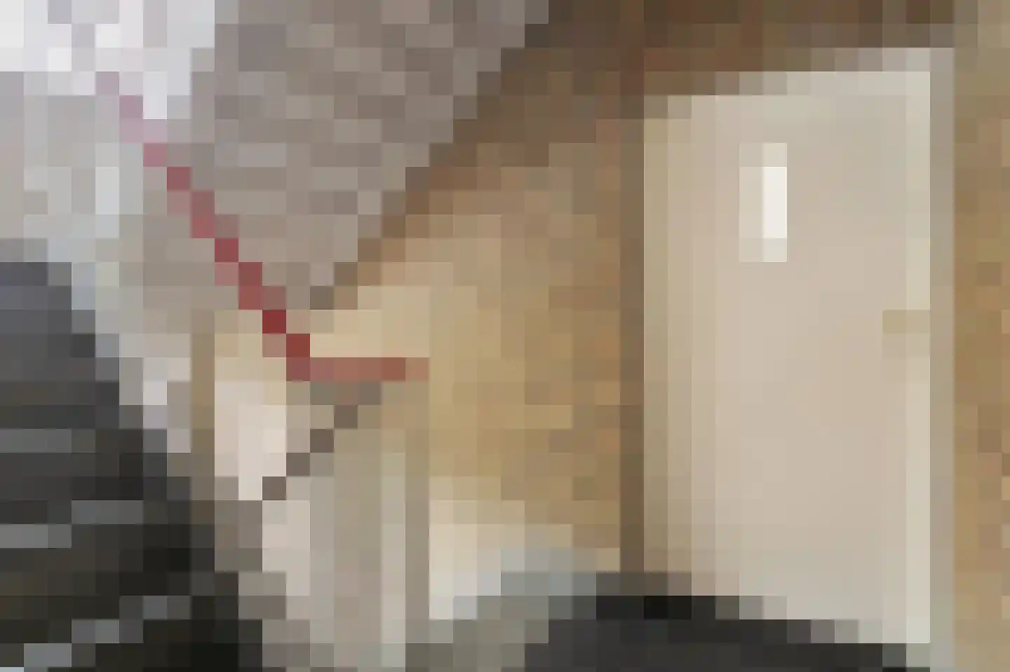 Schippersdreef 44 A Maastricht thumbnail 14