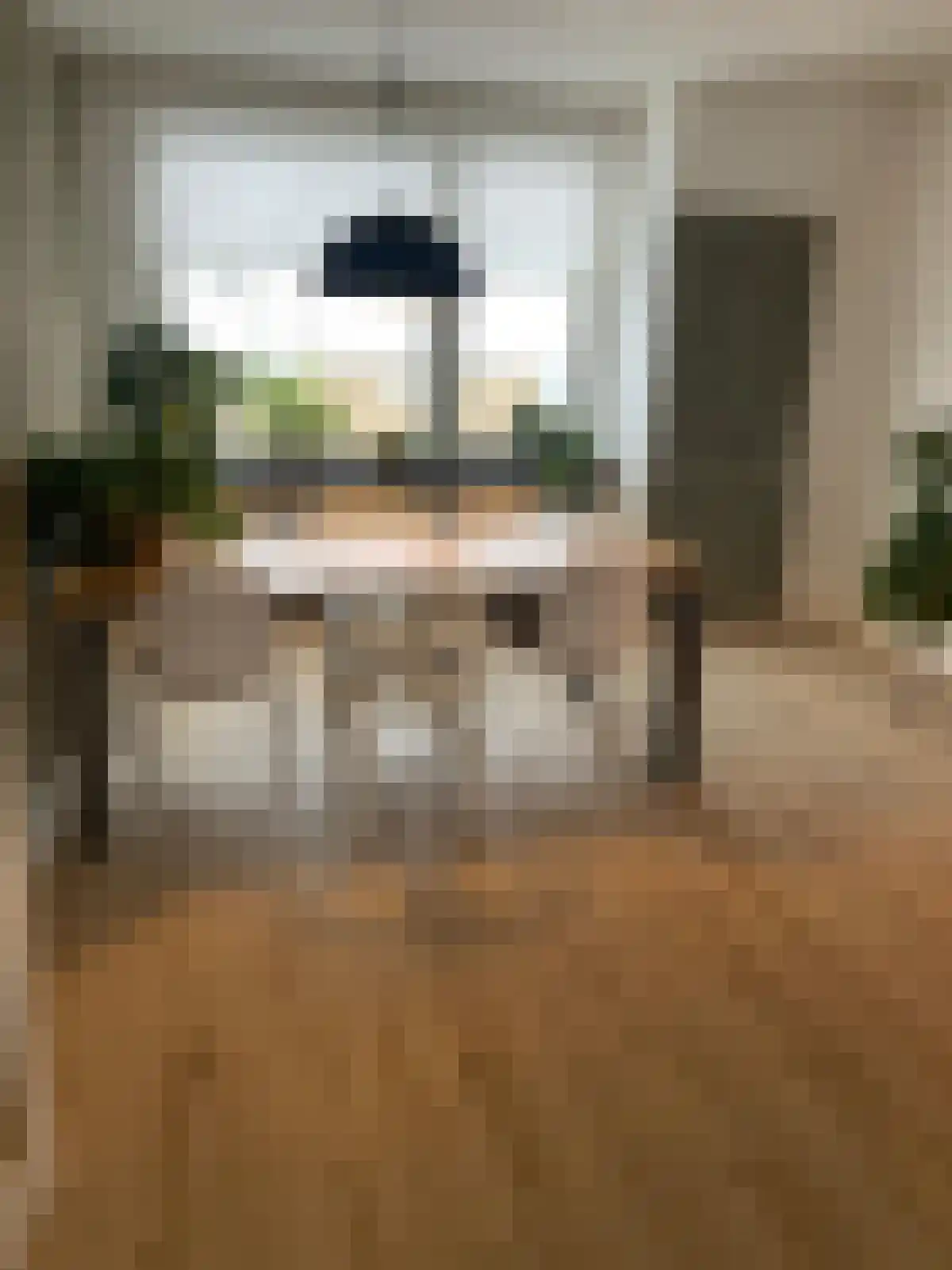 Schippersdreef 44 A Maastricht thumbnail 4