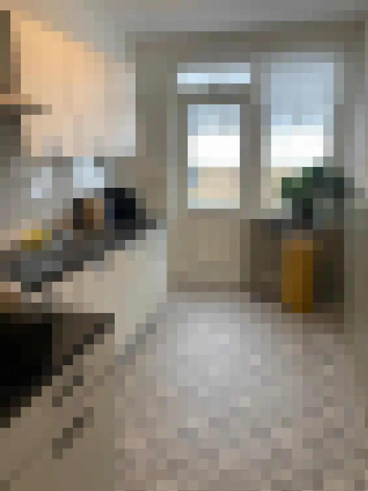 Schippersdreef 44 A Maastricht thumbnail 8