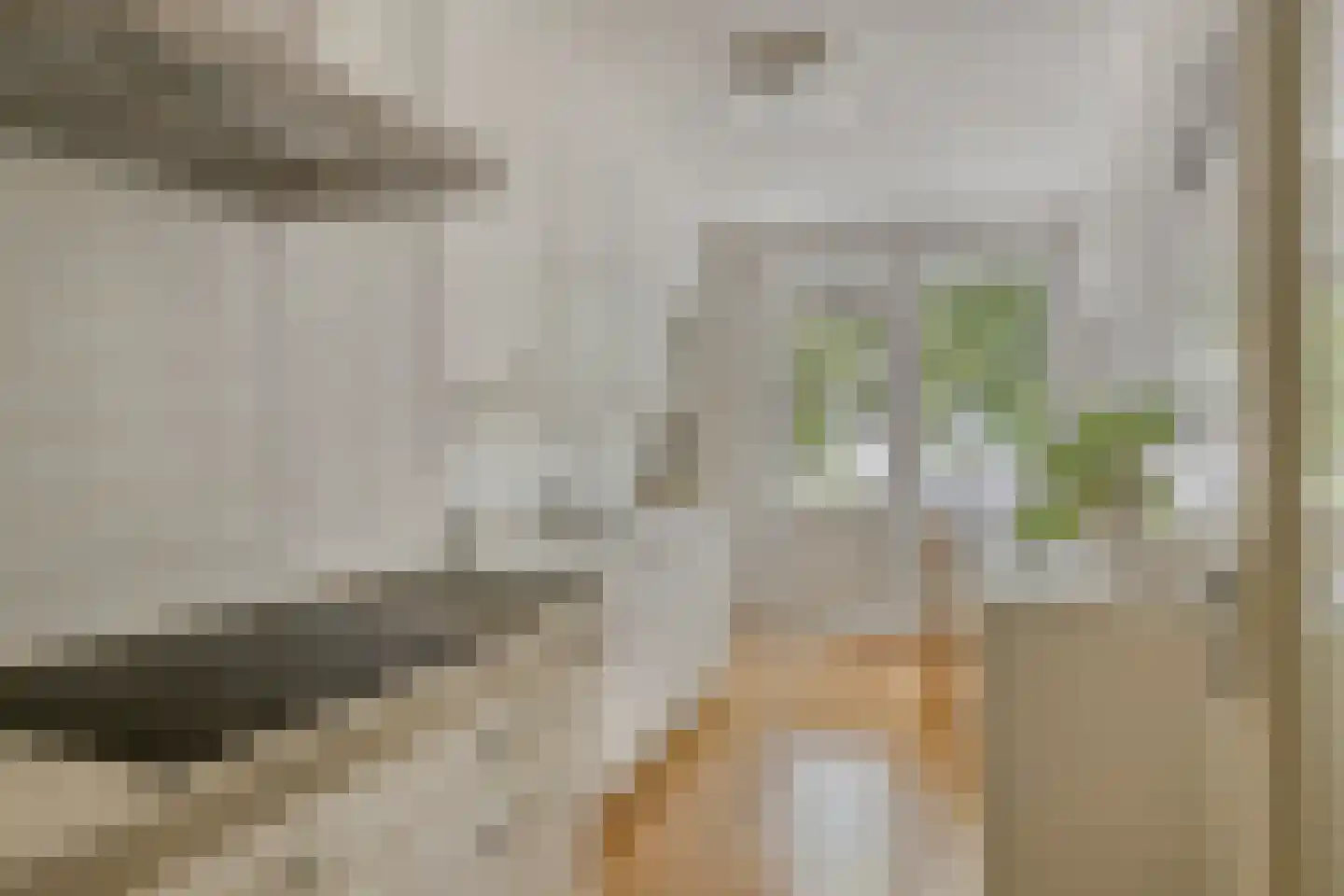 Schippersdreef 54 B Maastricht thumbnail 17