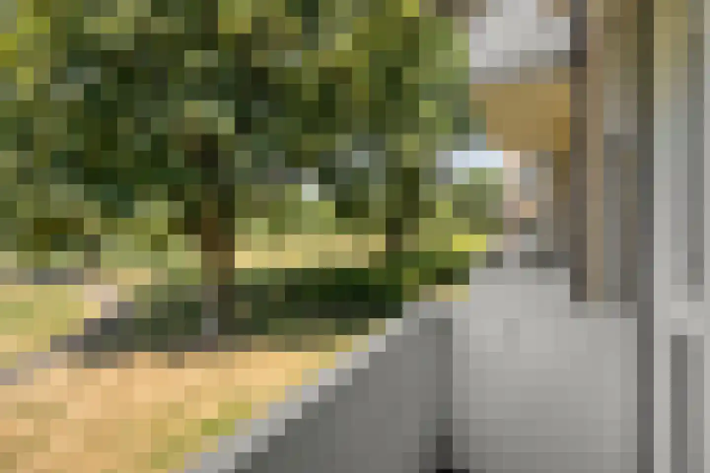 Schippersdreef 54 B Maastricht thumbnail 27