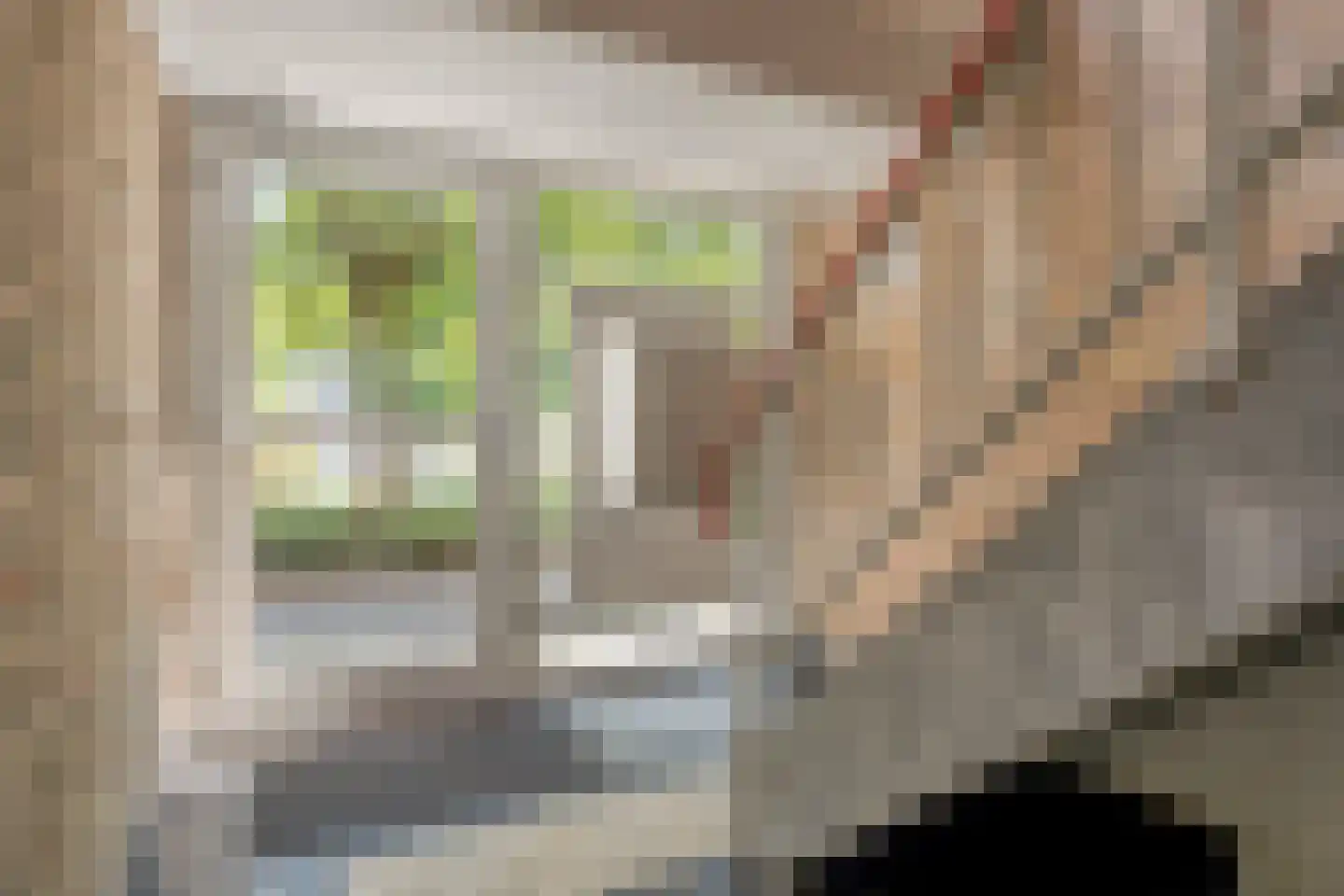 Schippersdreef 54 B Maastricht thumbnail 5