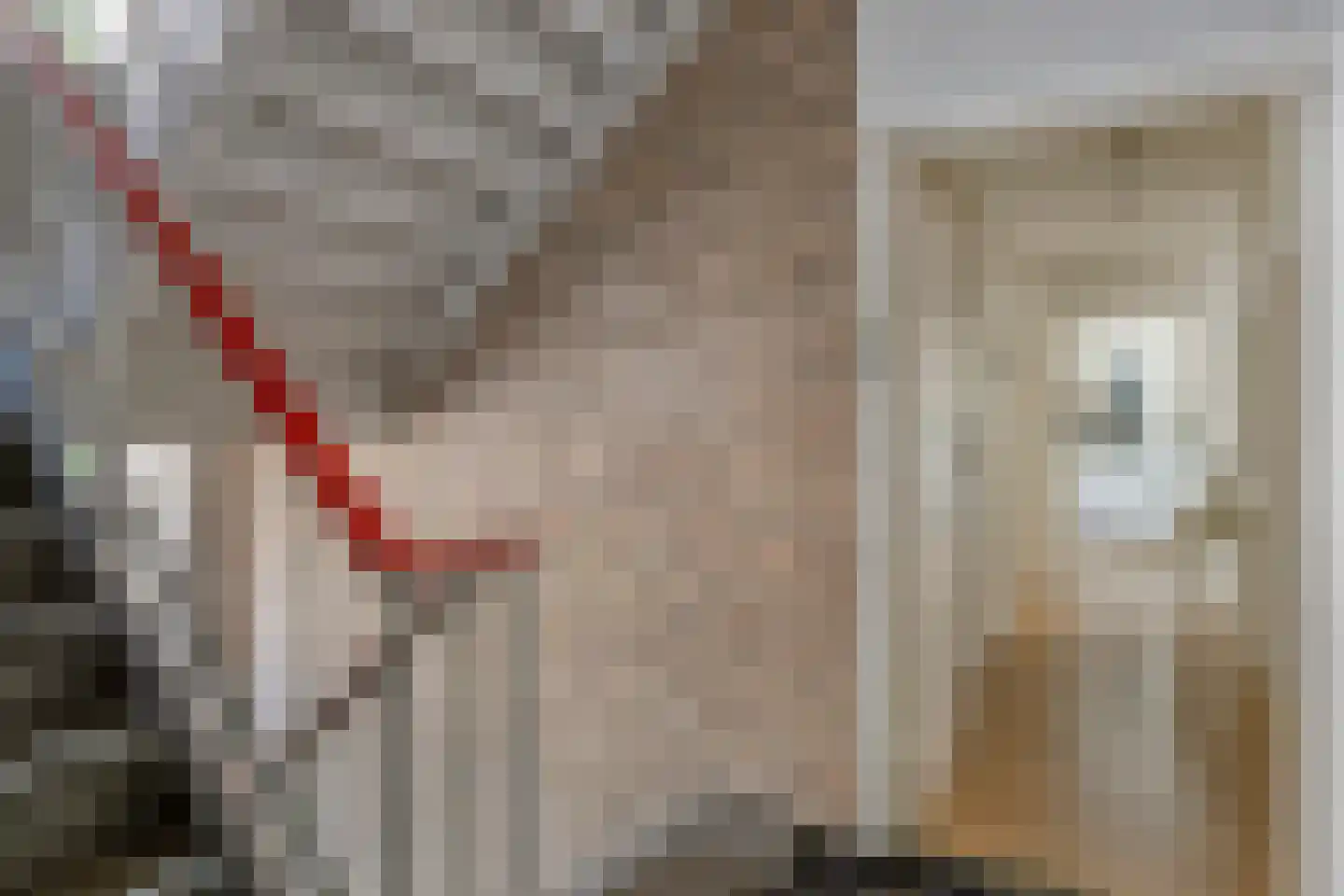 Schippersdreef 54 B Maastricht thumbnail 6