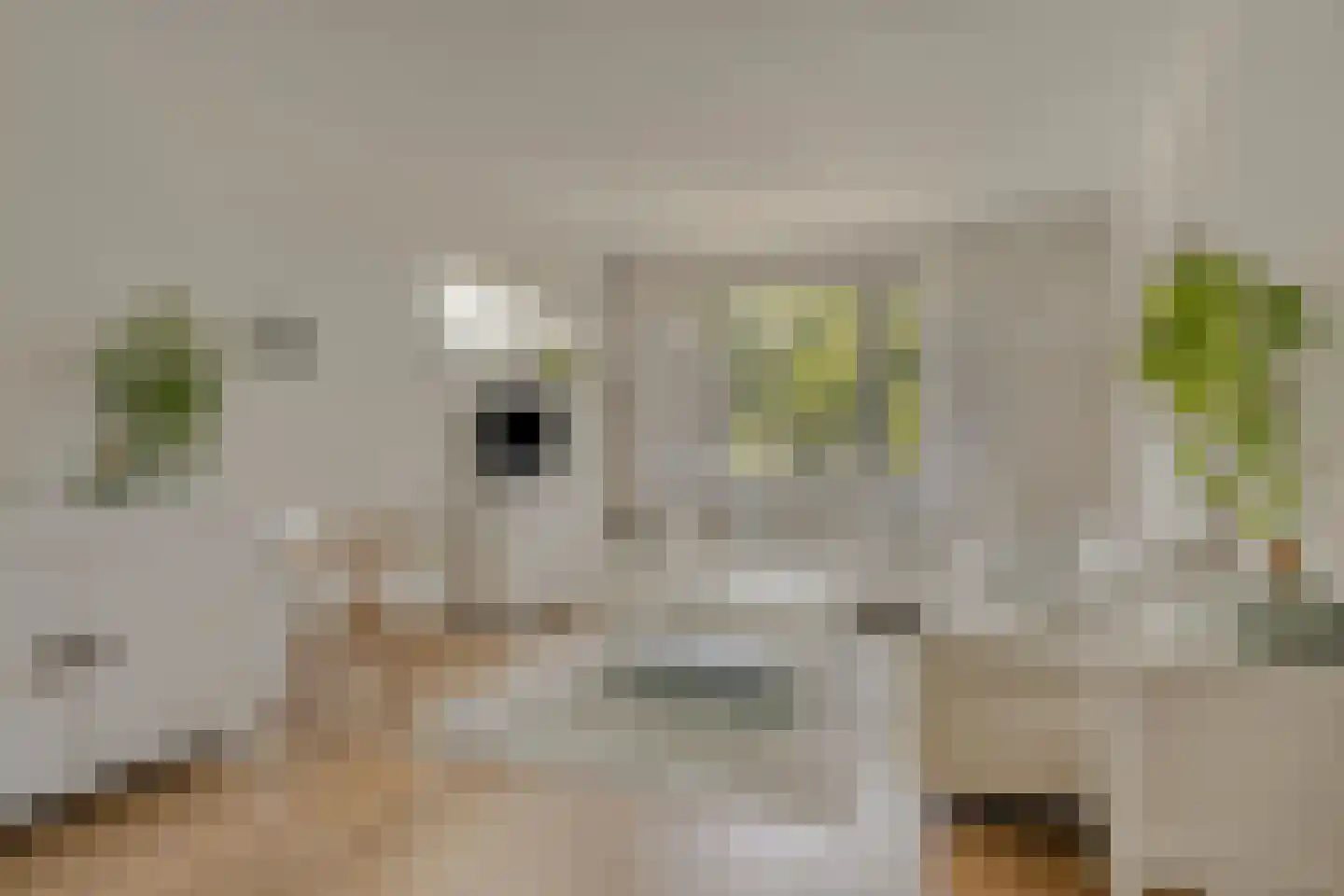 Schippersdreef 54 B Maastricht thumbnail 9