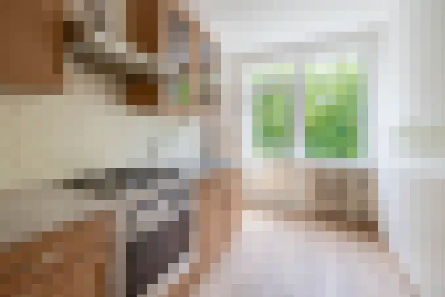 Schippersdreef 54 C Maastricht thumbnail 13