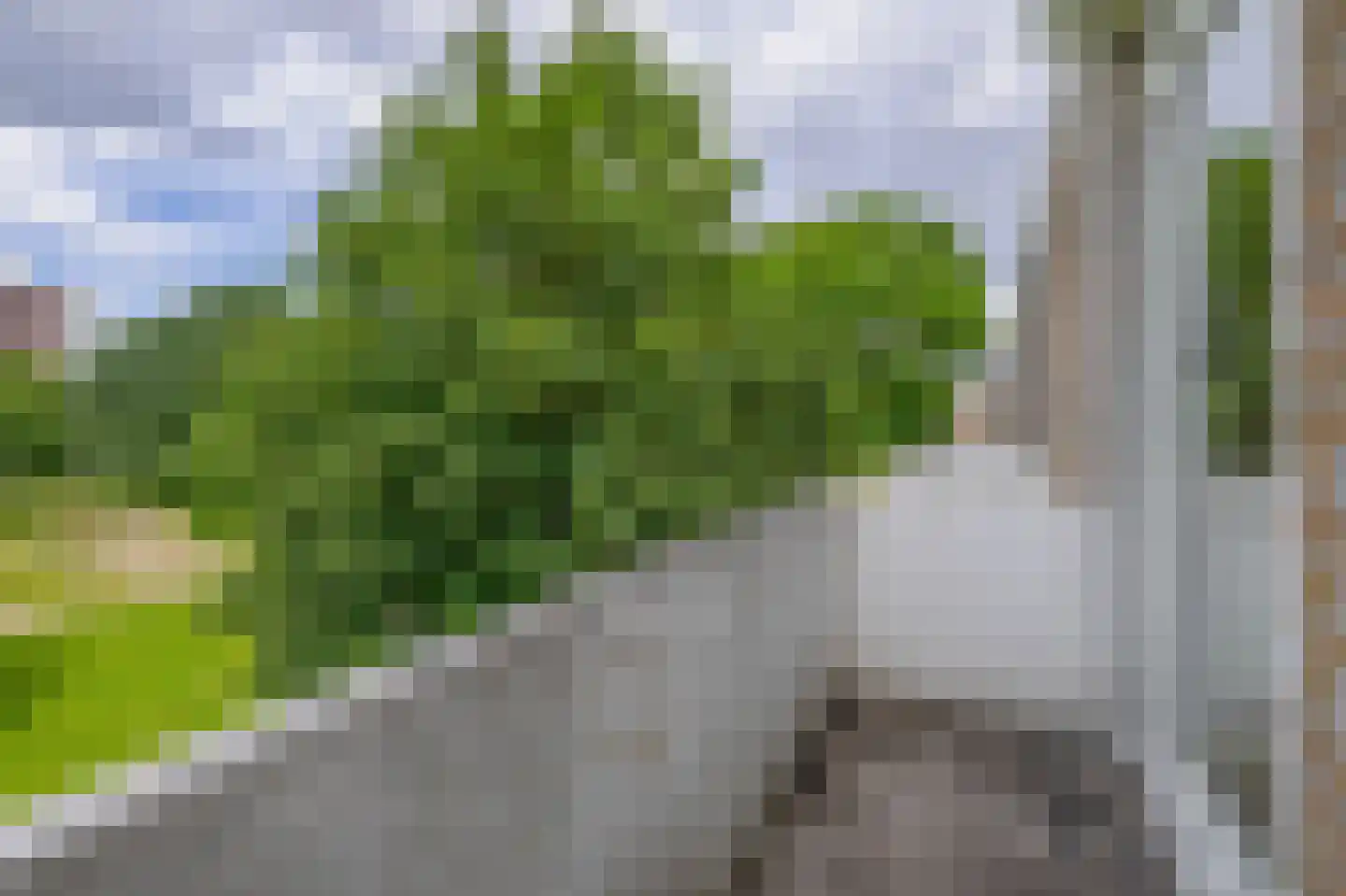 Schippersdreef 54 C Maastricht thumbnail 20