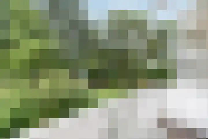 Schippersdreef 6 C Maastricht thumbnail 15