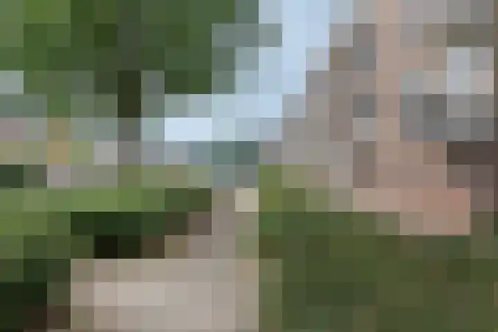 Schippersdreef 6 C Maastricht thumbnail 19
