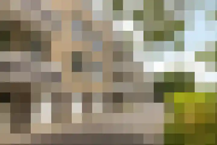 Schippersdreef 8 B Maastricht thumbnail 25
