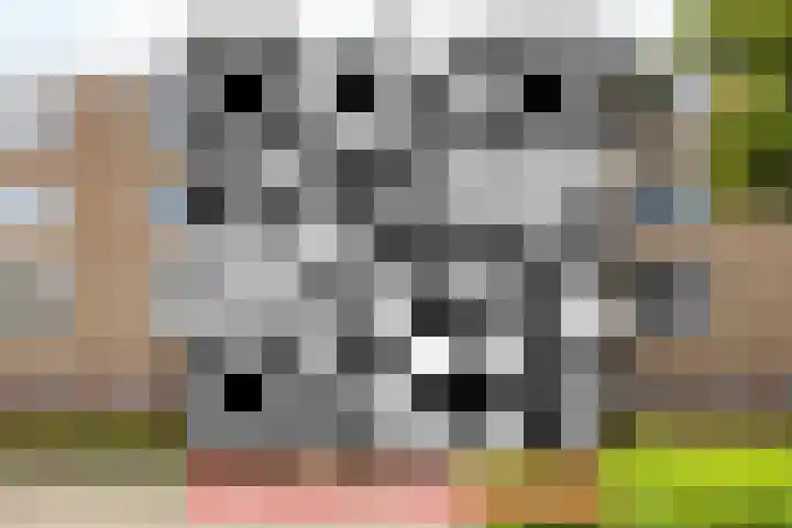 Schippersdreef 8 B Maastricht thumbnail 29