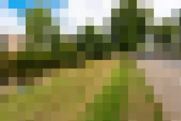 Schippersdreef 83 Driebergen-Rijsenburg thumbnail 33