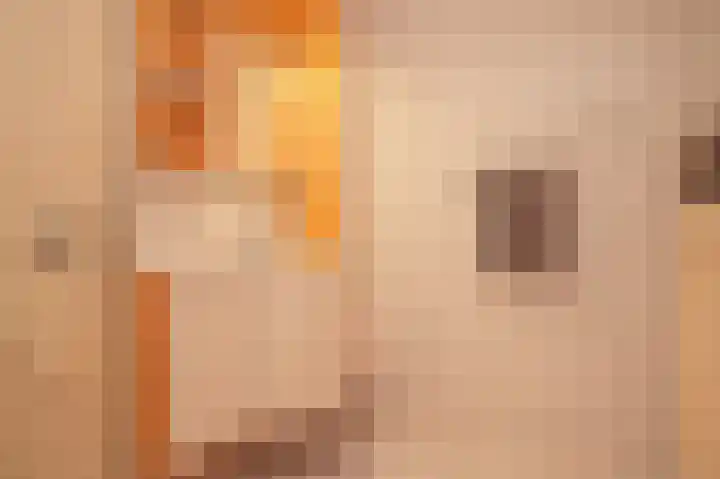 Schippersgildepad 4 Culemborg thumbnail 21