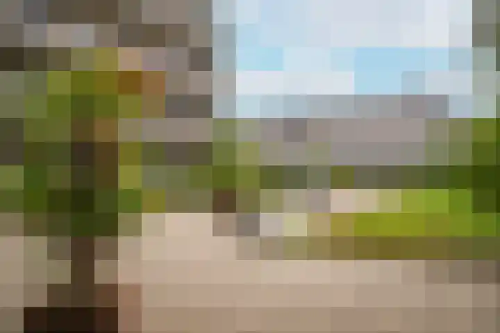 Schippersgildepad 4 Culemborg thumbnail 25