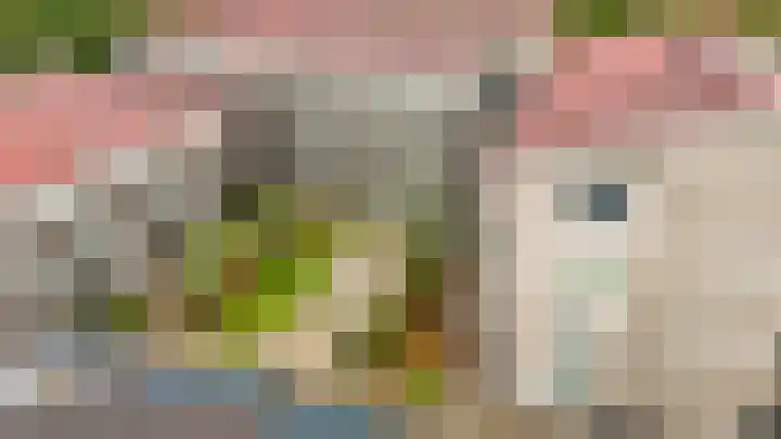 Schippersgildepad 4 Culemborg thumbnail 35