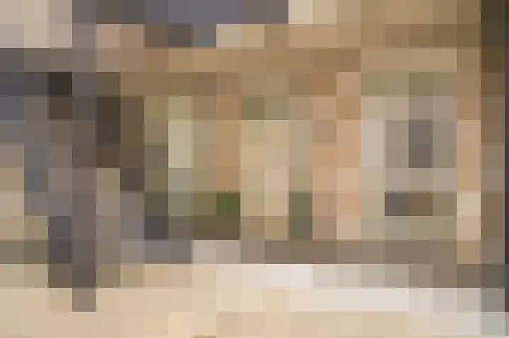 Schippersgildepad 4 Culemborg thumbnail 6