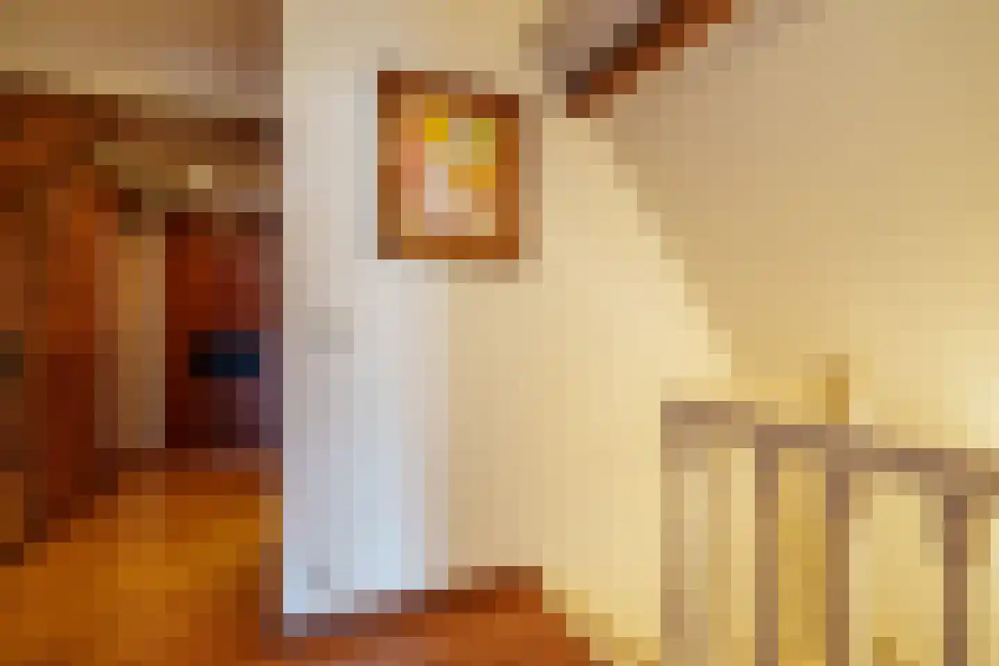 Schippersgracht 11 Maarssen thumbnail 23