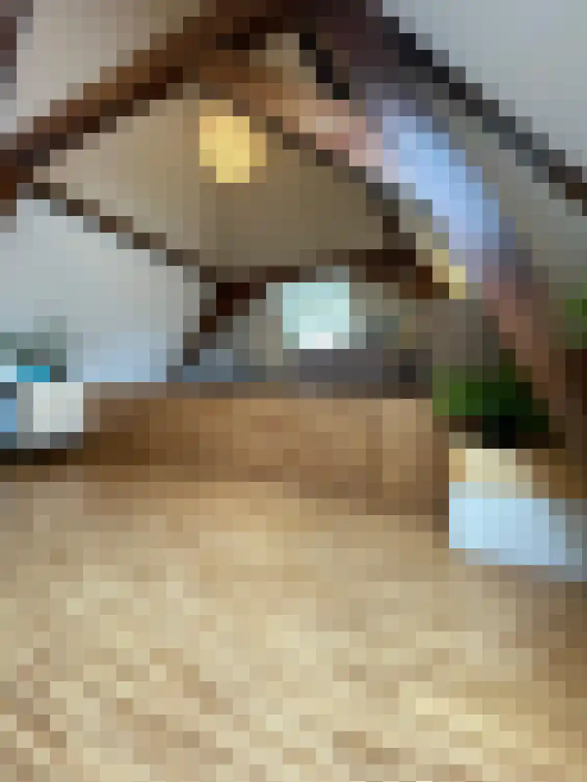 Schippersgracht 11 Maarssen thumbnail 28
