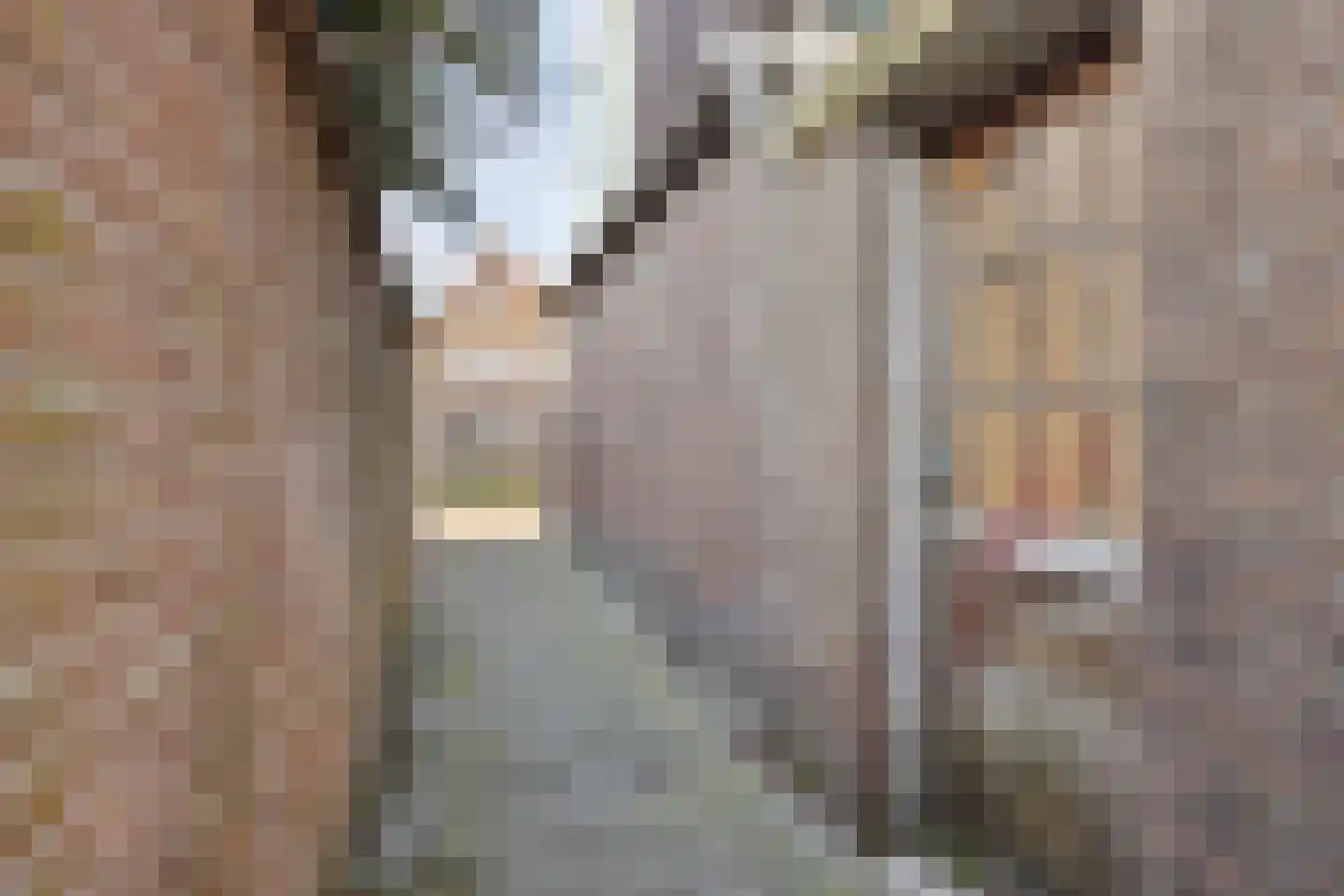 Schippersgracht 8 Volendam thumbnail 34