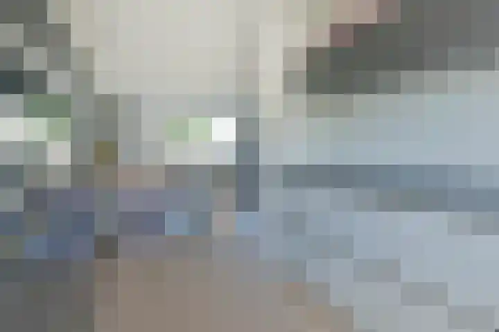 Schippershaak 7 Nieuwkoop thumbnail 14