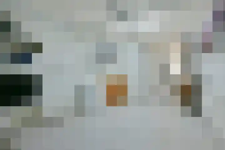 Schippershaak 7 Nieuwkoop thumbnail 17