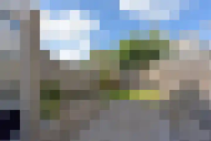 Schippershaak 7 Nieuwkoop thumbnail 19