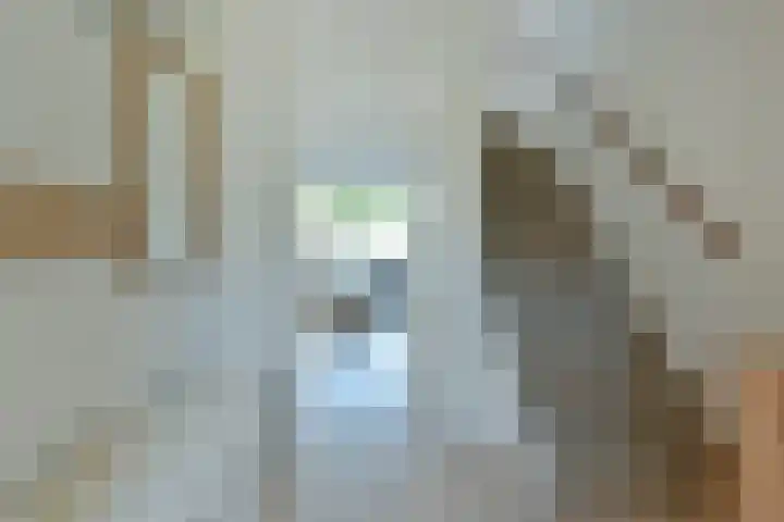 Schippershaak 7 Nieuwkoop thumbnail 21