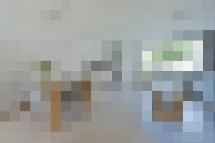 Schippershaak 7 Nieuwkoop thumbnail 7