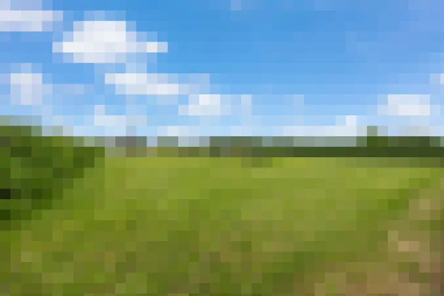 Schippershof 3 Dreumel thumbnail 6