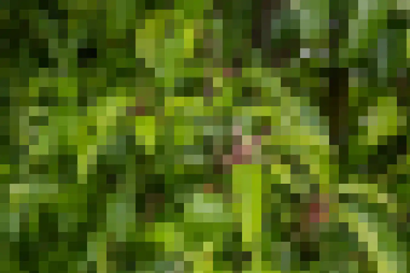 Schippershof 3 Dreumel thumbnail 7