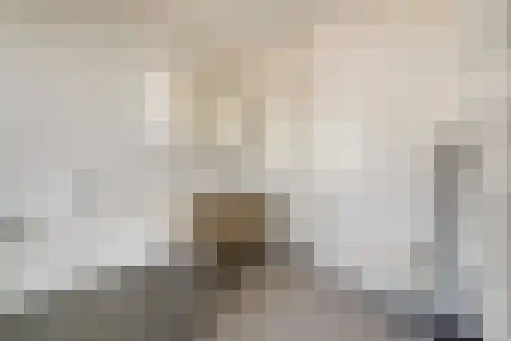 Schipperskade 107 Spijkenisse thumbnail 22