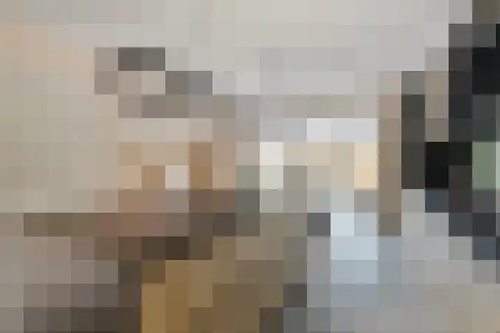 Schipperskade 107 Spijkenisse thumbnail 5