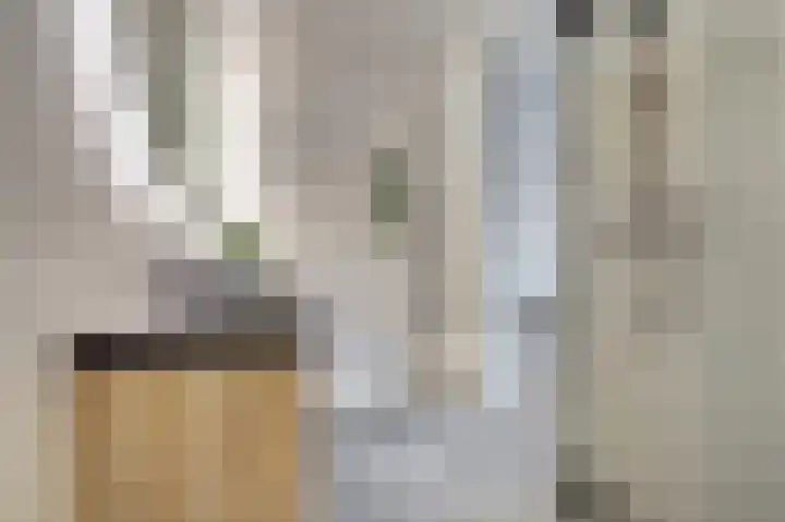 Schipperskade 31 Spijkenisse thumbnail 13