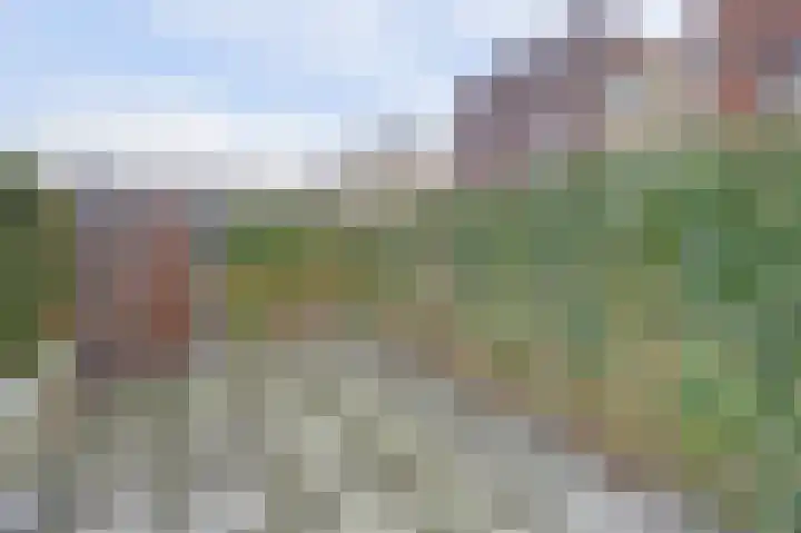 Schipperskade 31 Spijkenisse thumbnail 17