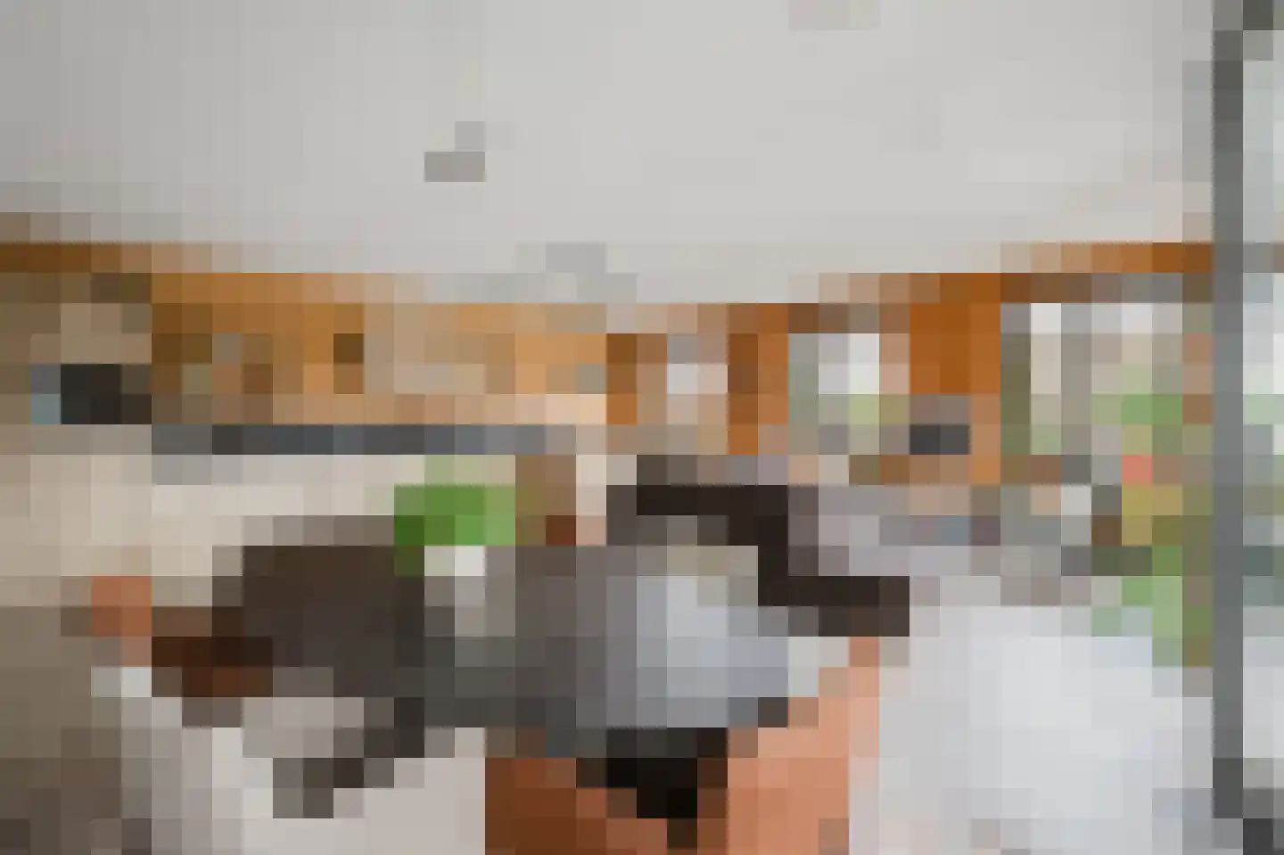 Schipperskade 79 Spijkenisse thumbnail 21