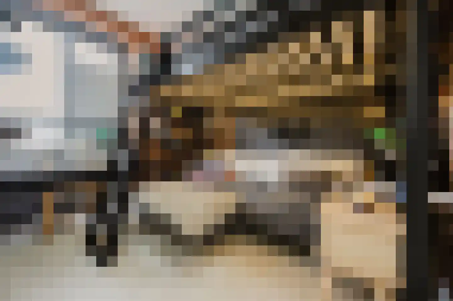 Schipperskade 79 Spijkenisse thumbnail 25