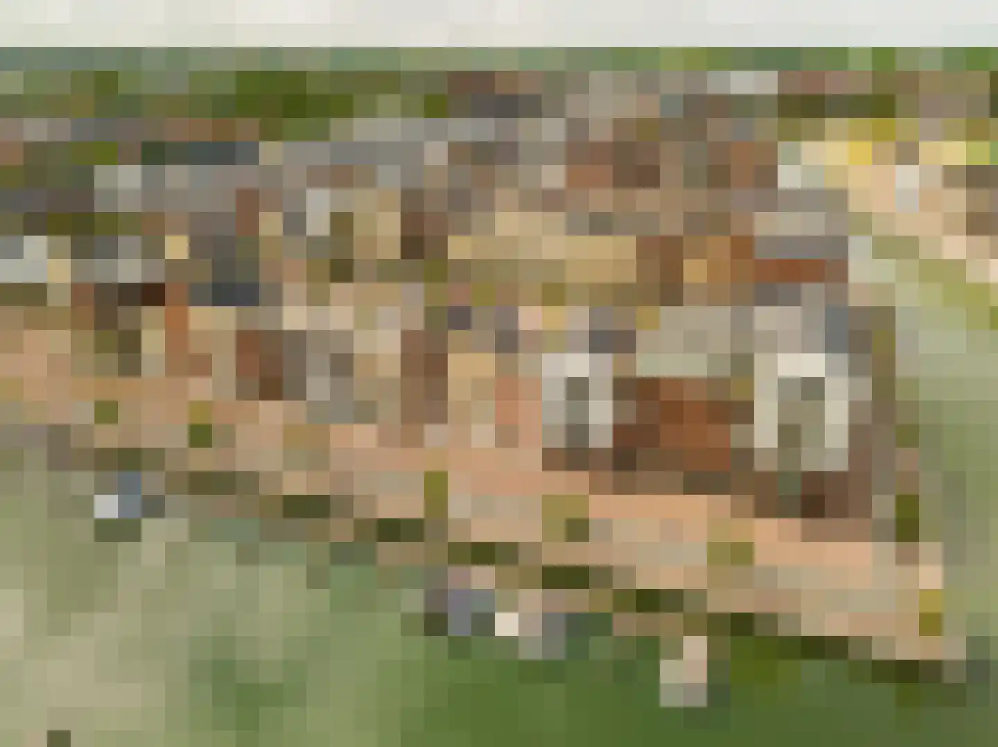 Schipperskade 79 Spijkenisse thumbnail 6
