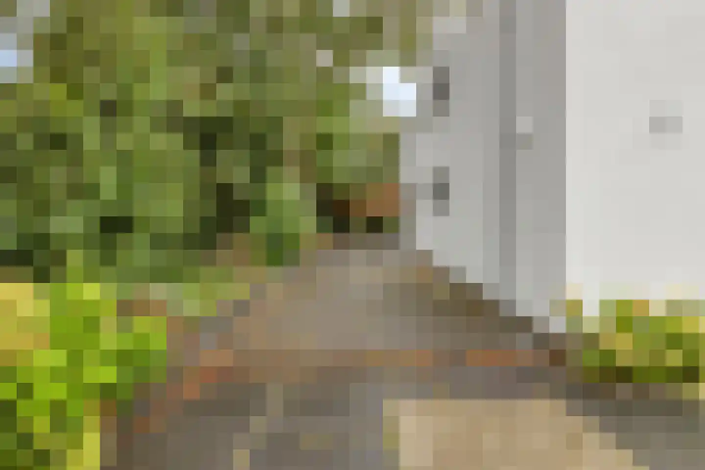 Schipperslaan 11 Purmerend thumbnail 49