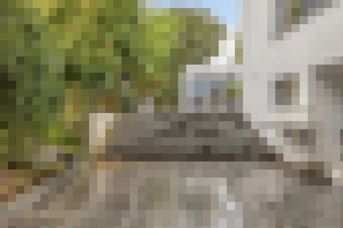 Schipperslaan 11 Purmerend thumbnail 50