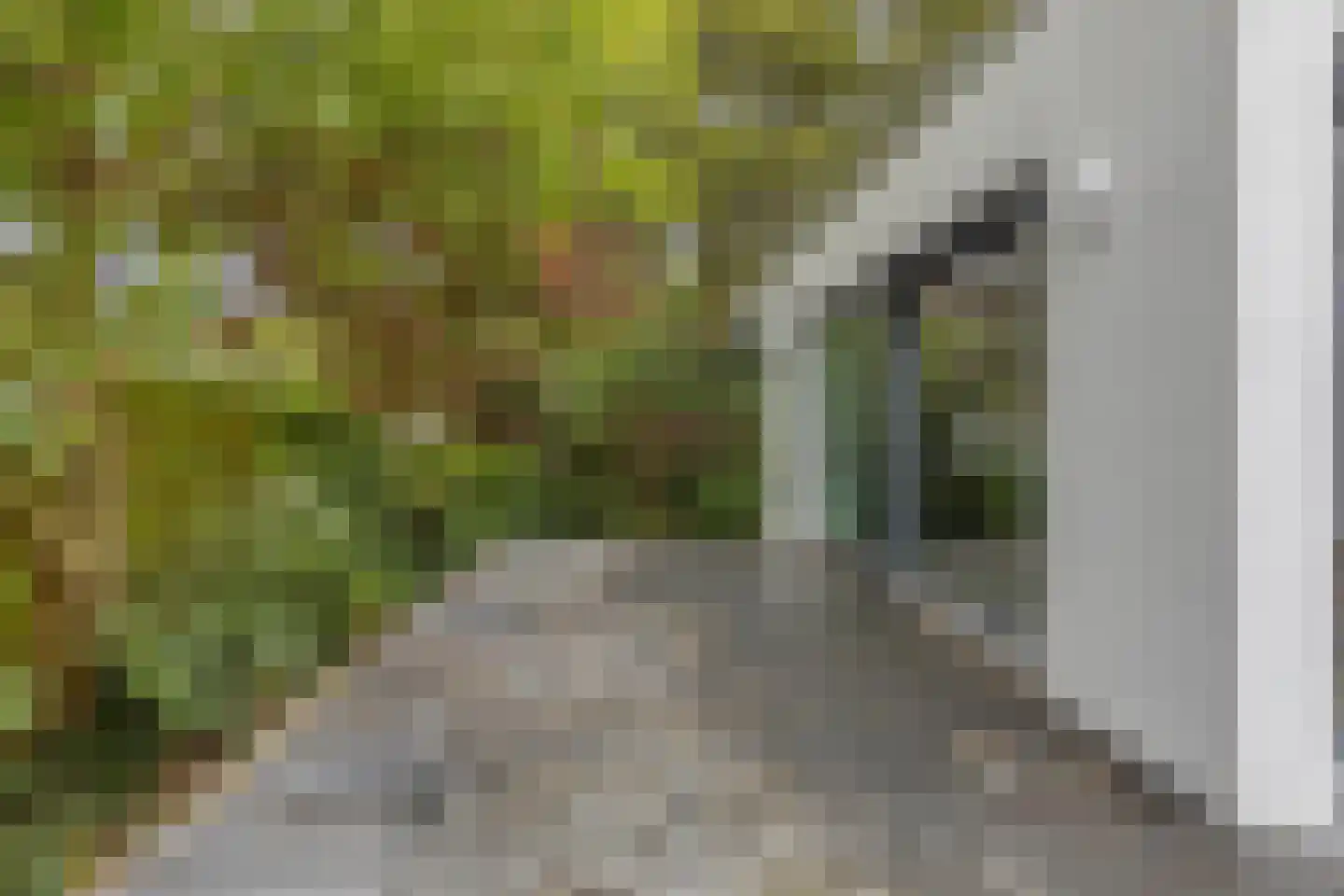 Schipperslaan 11 Purmerend thumbnail 54