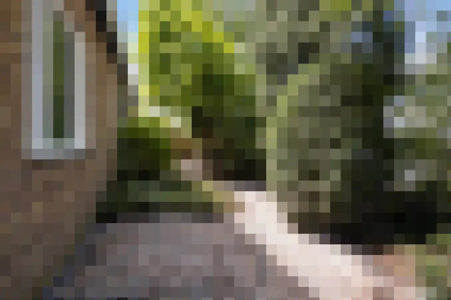 Schipperslaan 9 Purmerend thumbnail 31
