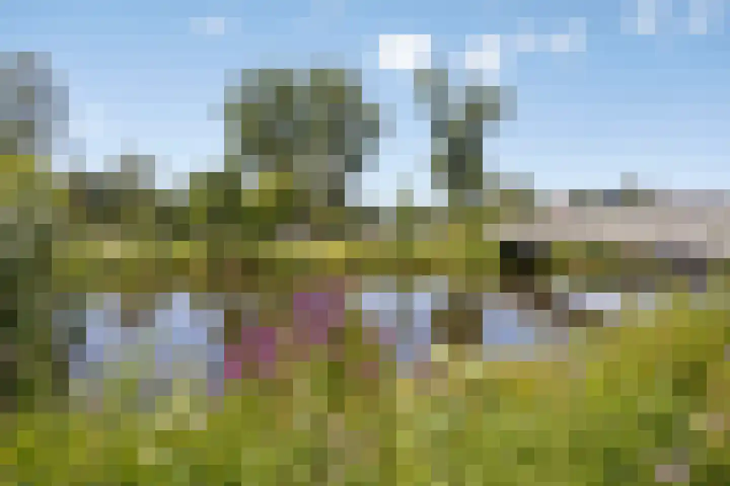 Schipperslaan 9 Purmerend thumbnail 36