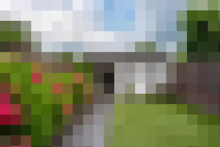 Schippersland 15 Oldebroek thumbnail 41