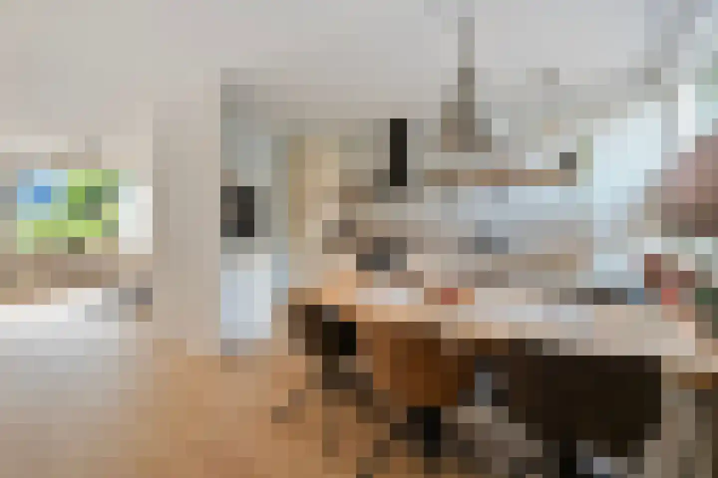 Schippersmeen 139 Harderwijk thumbnail 12