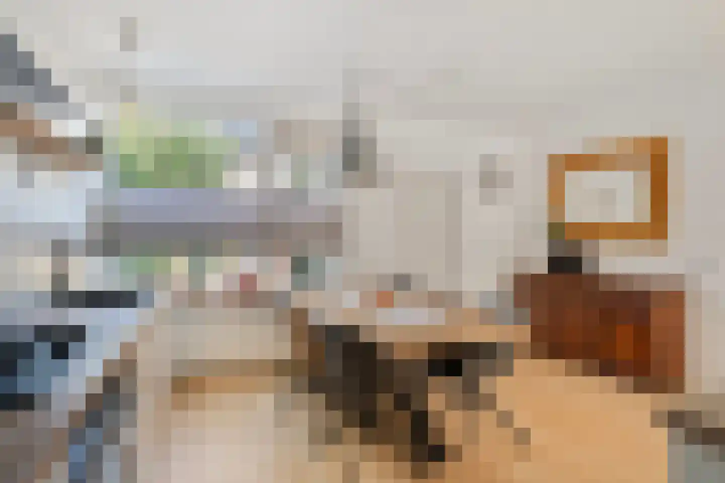 Schippersmeen 139 Harderwijk thumbnail 13
