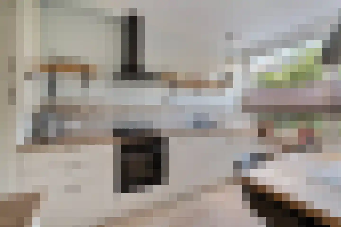 Schippersmeen 139 Harderwijk thumbnail 15