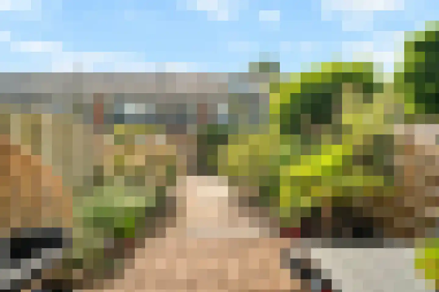 Schippersmeen 139 Harderwijk thumbnail 31