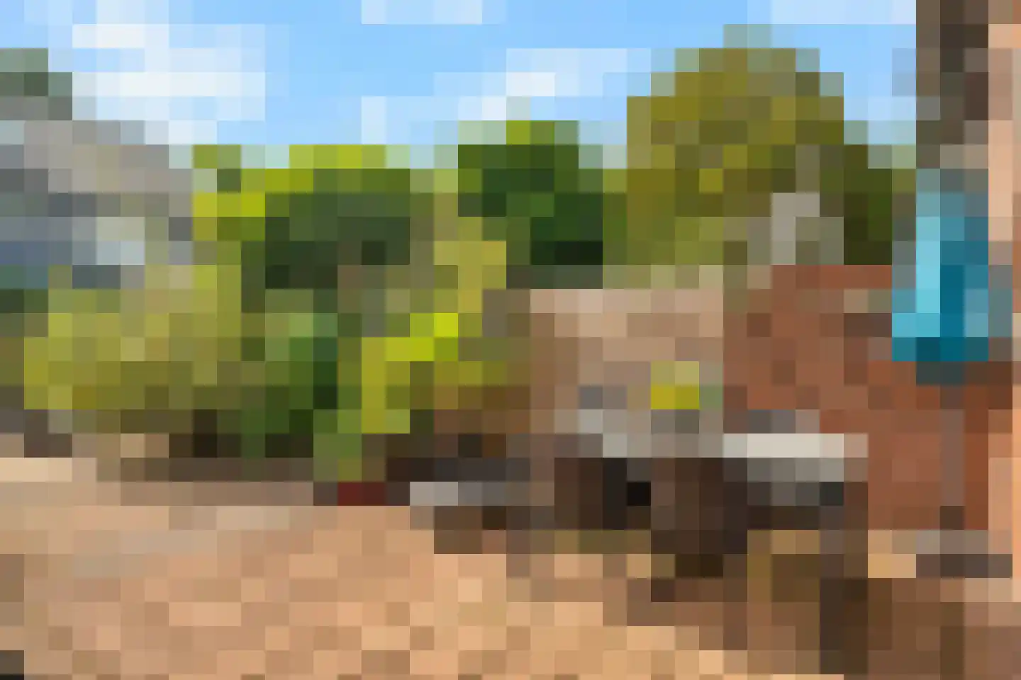 Schippersmeen 139 Harderwijk thumbnail 32